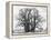 Great Tree-Howard Ruby-Framed Premier Image Canvas