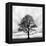 Great Tree-null-Framed Premier Image Canvas