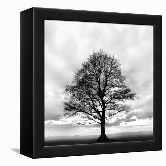 Great Tree-null-Framed Premier Image Canvas