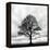 Great Tree-null-Framed Premier Image Canvas