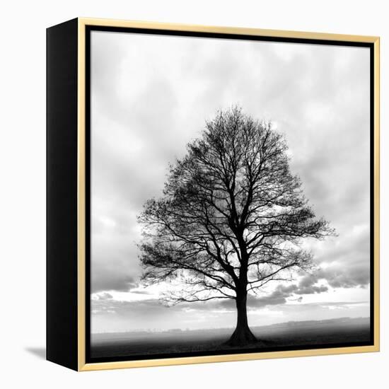 Great Tree-null-Framed Premier Image Canvas