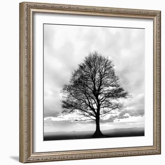 Great Tree-null-Framed Photographic Print