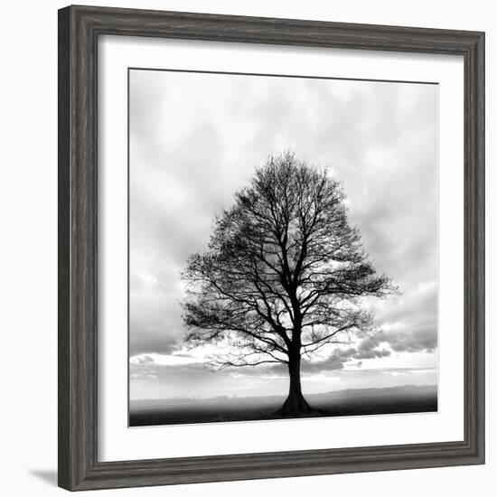 Great Tree-null-Framed Photographic Print