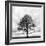 Great Tree-null-Framed Photographic Print