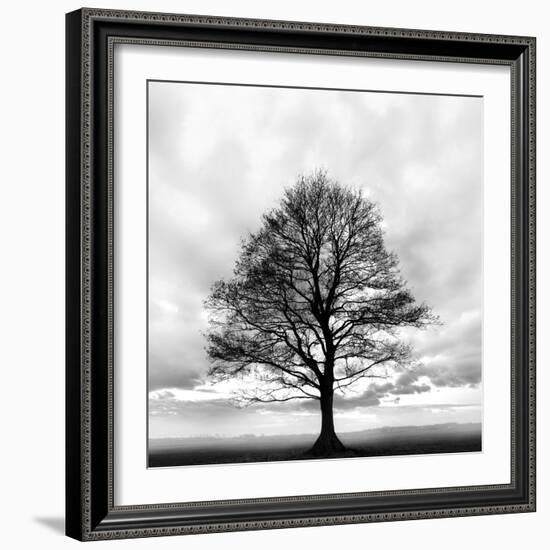 Great Tree-null-Framed Photographic Print