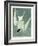 Great Turn, Male, Spring Plumage, 1836-John James Audubon-Framed Giclee Print