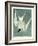 Great Turn, Male, Spring Plumage, 1836-John James Audubon-Framed Giclee Print