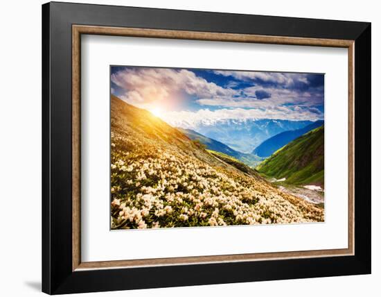 Great View of the Alpine Meadows with Rhododendron Flowers at the Foot of Mt. Ushba. Dramatic Unusu-Leonid Tit-Framed Photographic Print