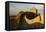 Great Wall of China and Jinshanling Mountains at sunrise, Jinshanling, China-Adam Jones-Framed Premier Image Canvas