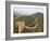 Great Wall of China at Jinshanling, China-Adam Jones-Framed Photographic Print