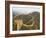 Great Wall of China at Jinshanling, China-Adam Jones-Framed Photographic Print