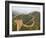 Great Wall of China at Jinshanling, China-Adam Jones-Framed Photographic Print