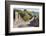 Great Wall of China, UNESCO World Heritage Site, Mutianyu, China, Asia-Janette Hill-Framed Photographic Print