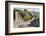 Great Wall of China, UNESCO World Heritage Site, Mutianyu, China, Asia-Janette Hill-Framed Photographic Print