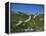 Great Wall of China-Mick Roessler-Framed Premier Image Canvas