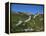 Great Wall of China-Mick Roessler-Framed Premier Image Canvas