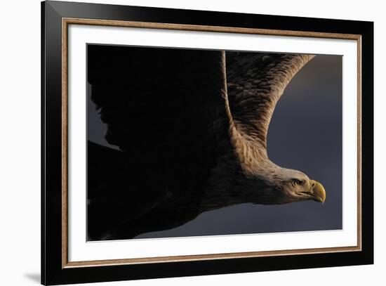 Great Warrior-Staffan Widstrand-Framed Giclee Print