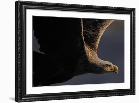 Great Warrior-Staffan Widstrand-Framed Giclee Print