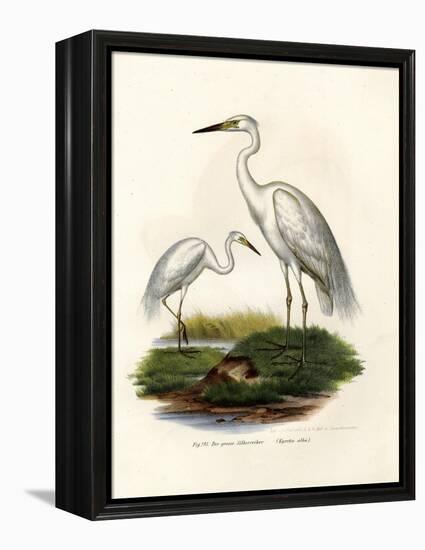 Great White Egret, 1864-null-Framed Premier Image Canvas