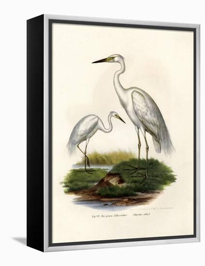 Great White Egret, 1864-null-Framed Premier Image Canvas