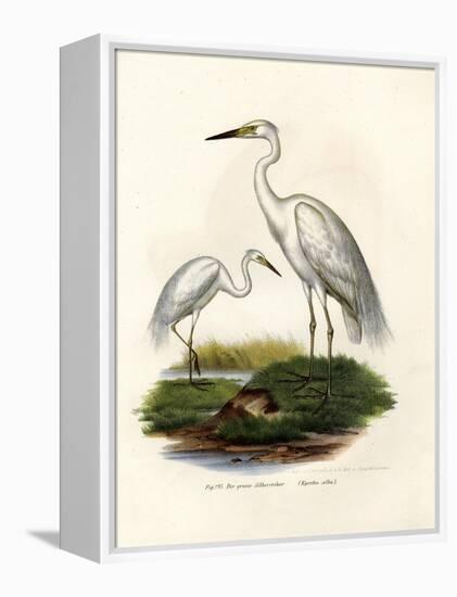 Great White Egret, 1864-null-Framed Premier Image Canvas