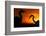 Great White Egret (Ardea Alba) Silhouetted at Sunset, Lake Csaj, Pusztaszer, Hungary, February-Bence Mate-Framed Photographic Print