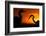 Great White Egret (Ardea Alba) Silhouetted at Sunset, Lake Csaj, Pusztaszer, Hungary, February-Bence Mate-Framed Photographic Print