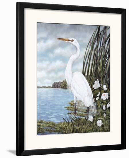 Great White Egret-James Harris-Framed Art Print