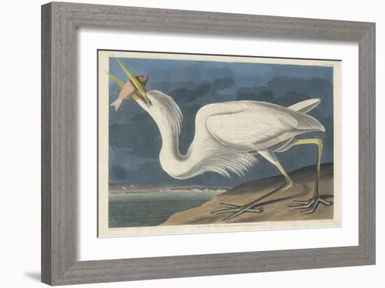 Great White Heron, 1835-John James Audubon-Framed Giclee Print