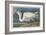 Great White Heron, 1835-John James Audubon-Framed Giclee Print