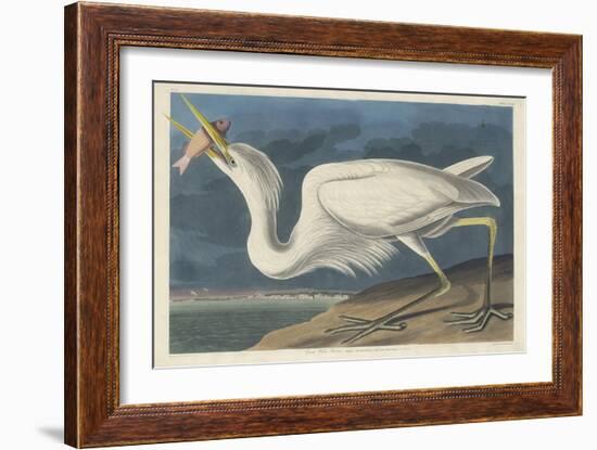 Great White Heron, 1835-John James Audubon-Framed Giclee Print