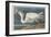 Great White Heron, 1835-John James Audubon-Framed Giclee Print