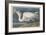 Great White Heron, 1835-John James Audubon-Framed Giclee Print