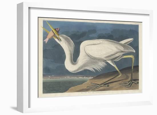 Great White Heron, 1835-John James Audubon-Framed Giclee Print