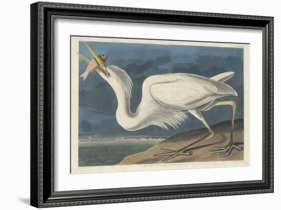 Great White Heron, 1835-John James Audubon-Framed Giclee Print