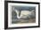 Great White Heron, 1835-John James Audubon-Framed Giclee Print