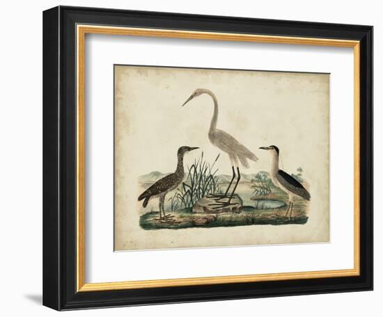 Great White Heron and Night Heron-Friedrich Strack-Framed Art Print