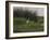 Great White Heron (Ardea Alba), Okavango Delta, Ngamiland, Botswana-null-Framed Photographic Print