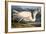 Great White Heron from "Birds of America"-John James Audubon-Framed Premium Giclee Print