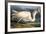 Great White Heron from "Birds of America"-John James Audubon-Framed Premium Giclee Print