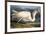 Great White Heron from "Birds of America"-John James Audubon-Framed Giclee Print