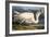 Great White Heron from "Birds of America"-John James Audubon-Framed Giclee Print