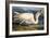 Great White Heron from "Birds of America"-John James Audubon-Framed Giclee Print