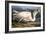 Great White Heron from "Birds of America"-John James Audubon-Framed Giclee Print