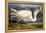 Great White Heron from "Birds of America"-John James Audubon-Framed Premier Image Canvas