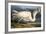 Great White Heron from "Birds of America"-John James Audubon-Framed Giclee Print