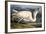 Great White Heron from "Birds of America"-John James Audubon-Framed Giclee Print