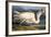 Great White Heron from "Birds of America"-John James Audubon-Framed Giclee Print