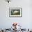 Great White Heron-John James Audubon-Framed Art Print displayed on a wall