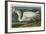 Great White Heron-John James Audubon-Framed Art Print